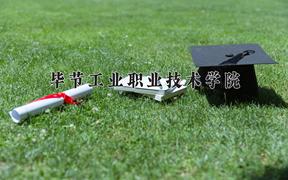 毕节工业职业技术学院近三年录取分数线及位次：陕西2022-2024最低分