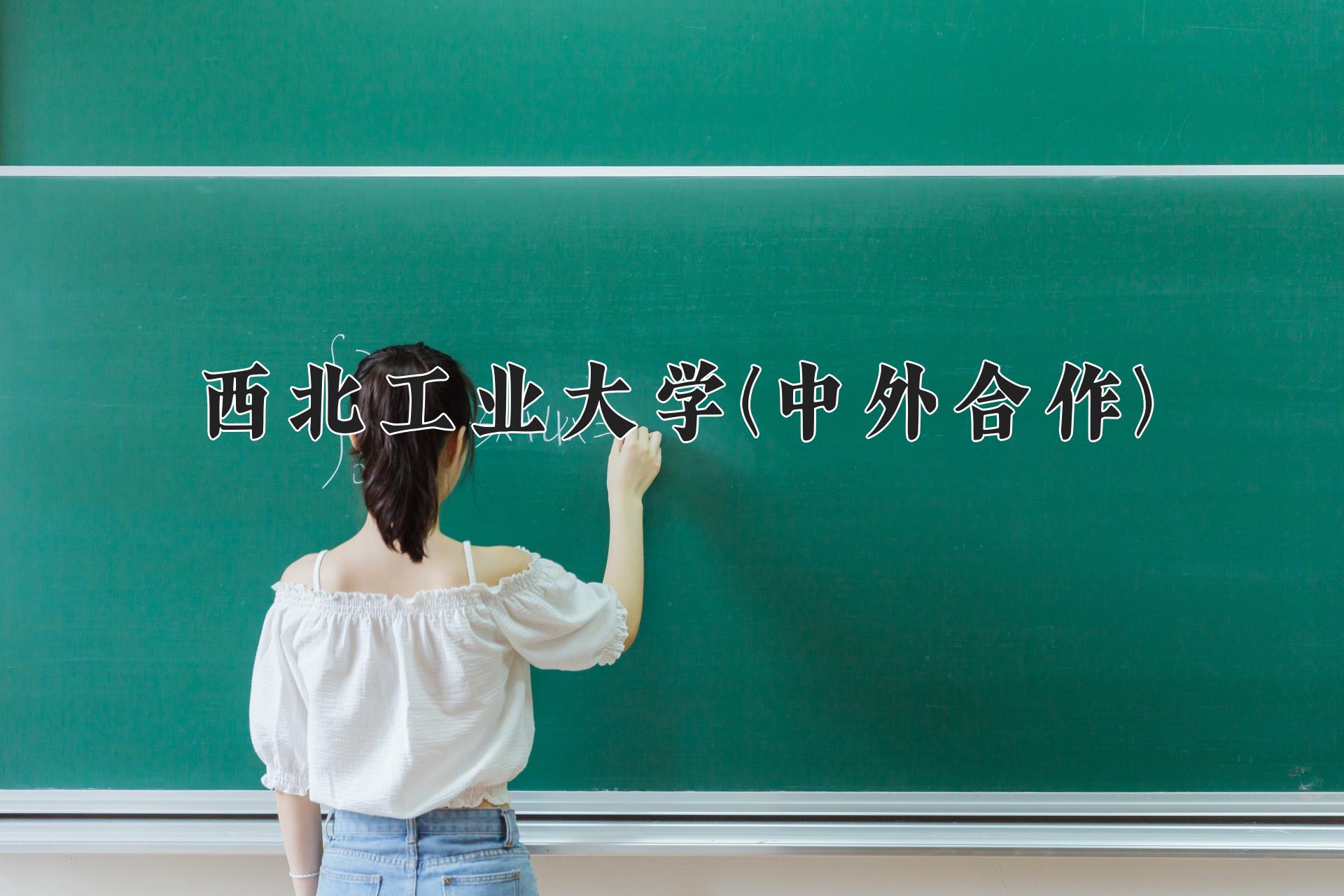 西北工业大学(中外合作)近三年录取分数线及位次:陕西2022-2024最低分