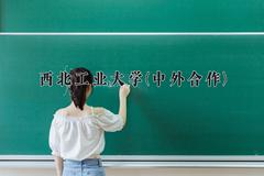 西北工业大学(中外合作)近三年录取分数线及位次：陕西2022-2024最低分