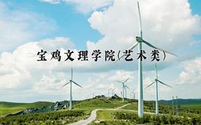 宝鸡文理学院(艺术类)近三年录取分数线及位次：陕西2022-2024最低分