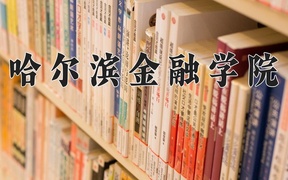 哈尔滨金融学院近三年录取分数线及位次：陕西2022-2024最低分
