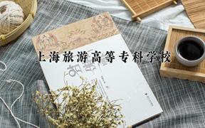 上海旅游高等专科学校近三年录取分数线及位次：陕西2022-2024最低分
