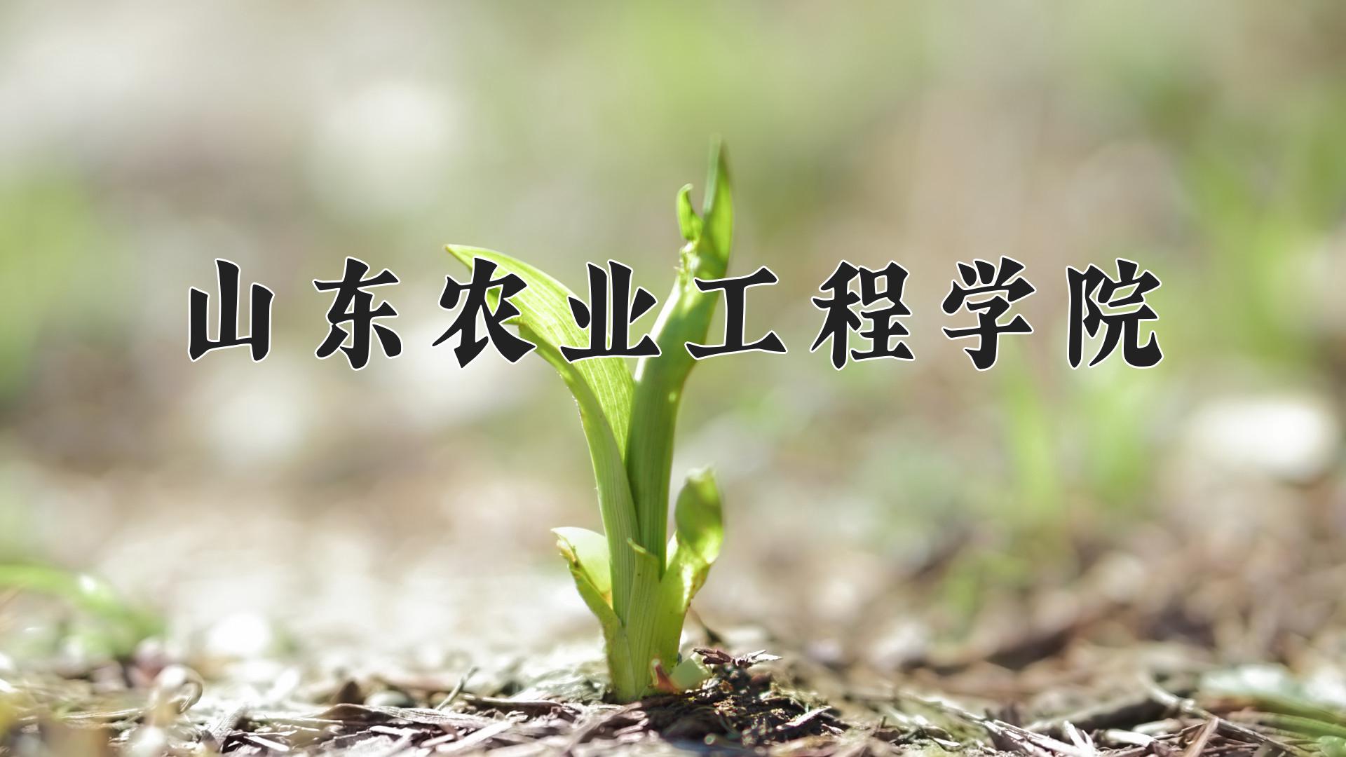 山东农业工程学院近三年录取分数线及位次:陕西2022-2024最低分
