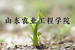 山东农业工程学院近三年录取分数线及位次：陕西2022-2024最低分