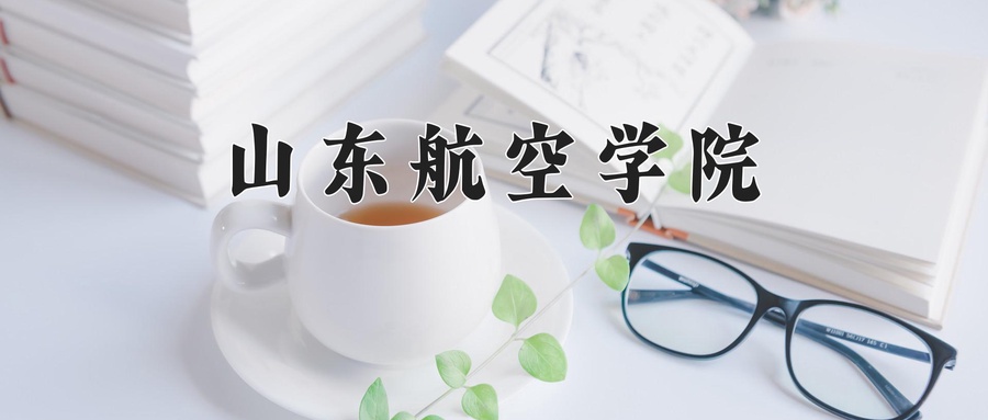 山东航空学院近三年录取分数线及位次:陕西2022-2024最低分
