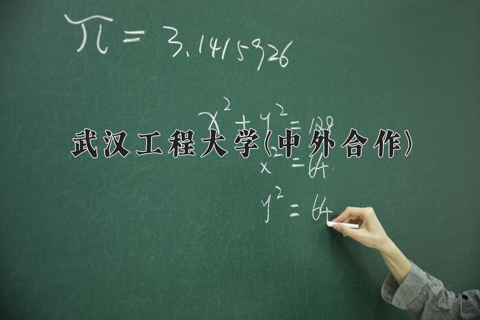 武汉工程大学(中外合作)近三年录取分数线及位次：陕西2022-2024最低分