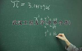 武汉工程大学(中外合作)近三年录取分数线及位次：陕西2022-2024最低分