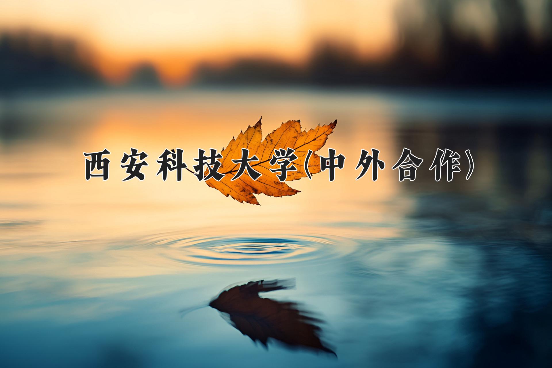 西安科技大学(中外合作)近三年录取分数线及位次：陕西2022-2024最低分