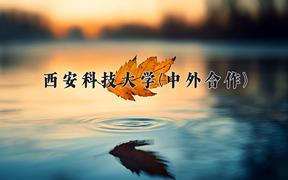西安科技大学(中外合作)近三年录取分数线及位次：陕西2022-2024最低分