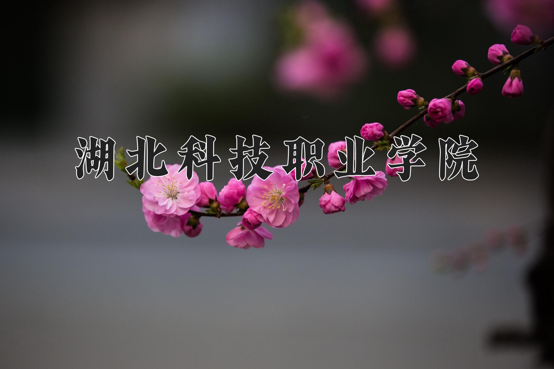 湖北科技职业学院近三年录取分数线及位次：陕西2022-2024最低分