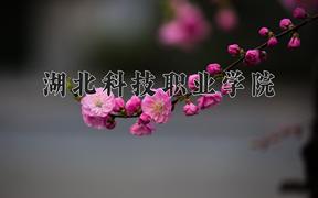 湖北科技职业学院近三年录取分数线及位次：陕西2022-2024最低分