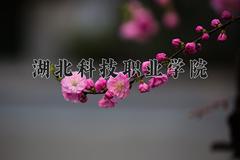 湖北科技职业学院近三年录取分数线及位次：陕西2022-2024最低分