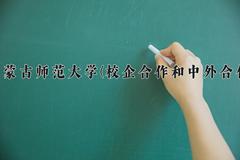 内蒙古师范大学(校企合作和中外合作)近三年录取分数线及位次：陕西2022-2024最低分