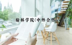 榆林学院(中外合作)近三年录取分数线及位次：陕西2022-2024最低分