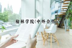 榆林学院(中外合作)近三年录取分数线及位次：陕西2022-2024最低分