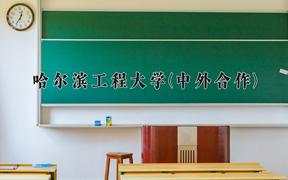 哈尔滨工程大学(中外合作)近三年录取分数线及位次：陕西2022-2024最低分