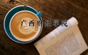 广西财经学院近三年录取分数线及位次：陕西2022-2024最低分