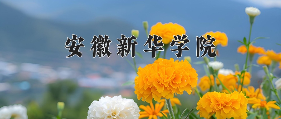 安徽新华学院近三年录取分数线及位次：陕西2022-2024最低分