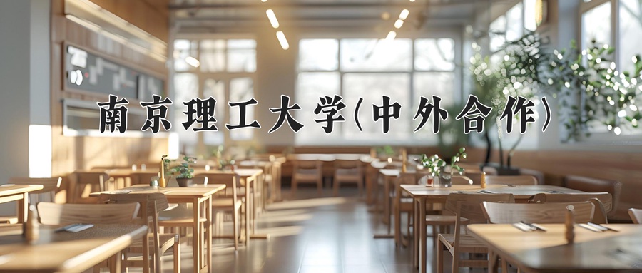南京理工大学(中外合作)近三年录取分数线及位次:陕西2022-2024最低分