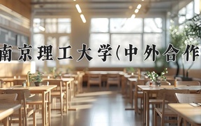 南京理工大学(中外合作)近三年录取分数线及位次：陕西2022-2024最低分