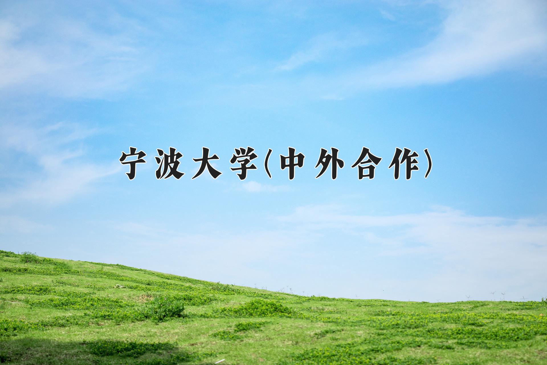 宁波大学(中外合作)近三年录取分数线及位次:陕西2022-2024最低分