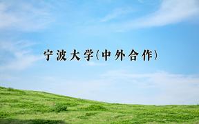 宁波大学(中外合作)近三年录取分数线及位次：陕西2022-2024最低分