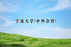 宁波大学(中外合作)近三年录取分数线及位次：陕西2022-2024最低分