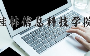 桂林信息科技学院近三年录取分数线及位次：陕西2022-2024最低分