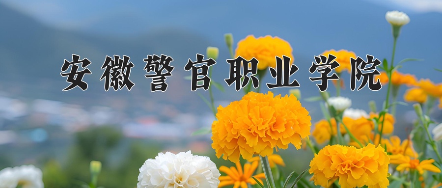 安徽警官职业学院近三年录取分数线及位次：陕西2022-2024最低分