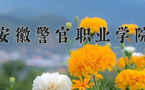 安徽警官职业学院近三年录取分数线及位次：陕西2022-2024最低分