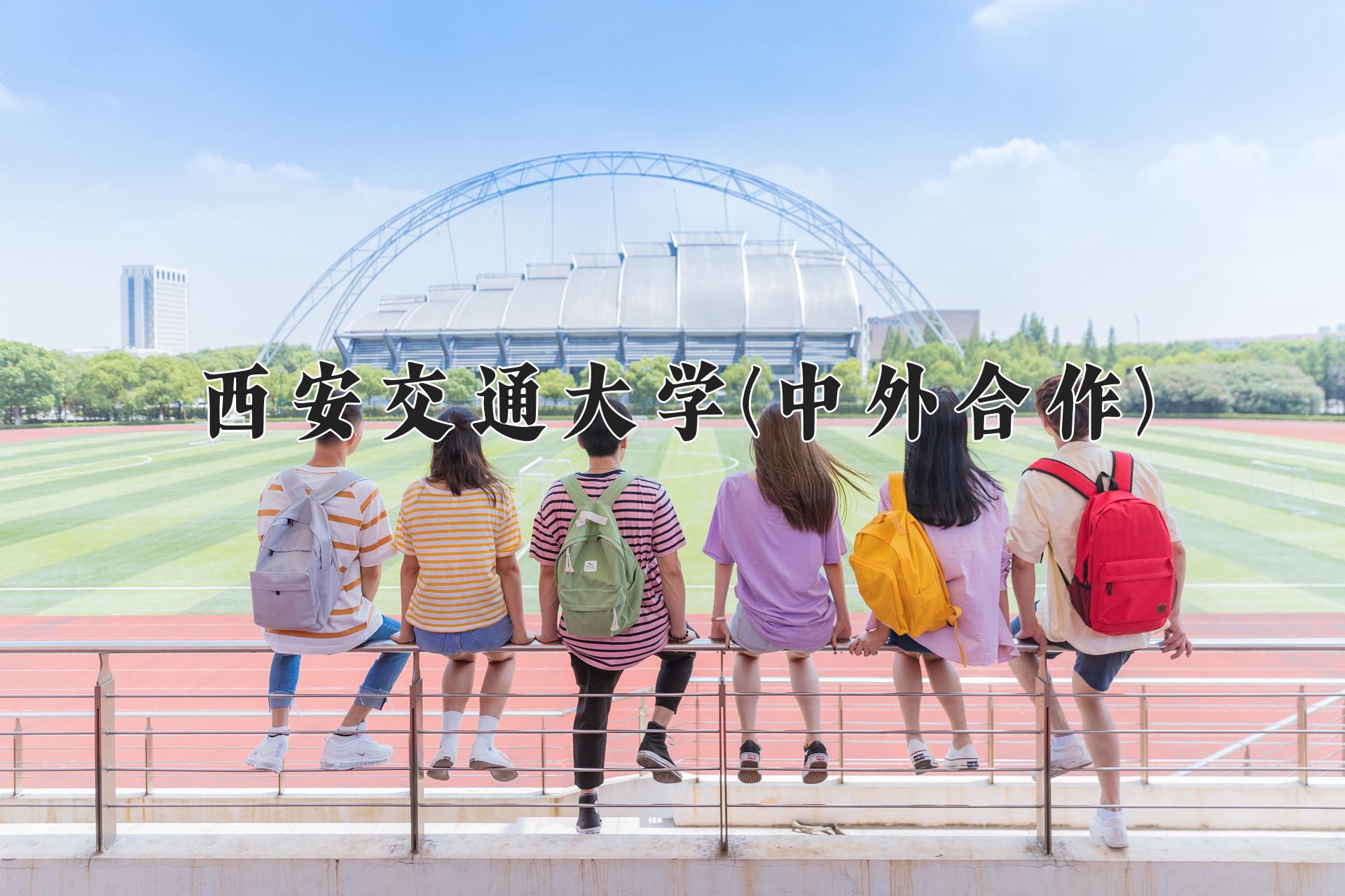 西安交通大学(中外合作)近三年录取分数线及位次:陕西2022-2024最低分