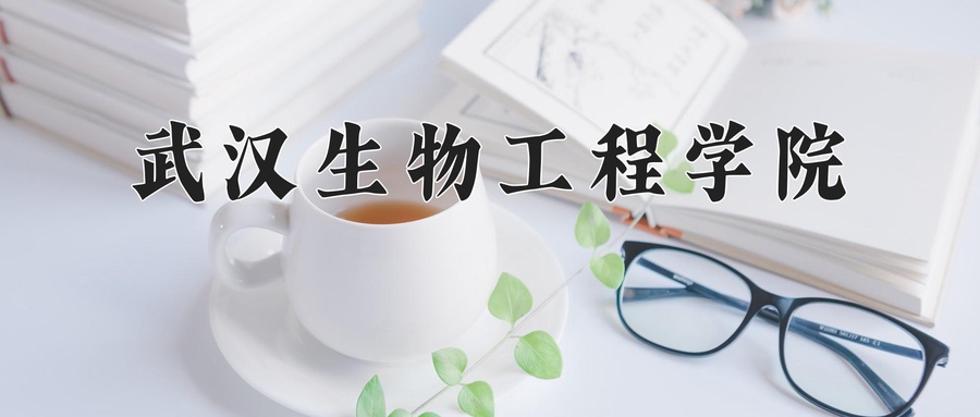 武汉生物工程学院近三年录取分数线及位次:陕西2022-2024最低分
