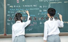 山东大学(威海)(中外合作)近三年录取分数线及位次：陕西2022-2024最低分