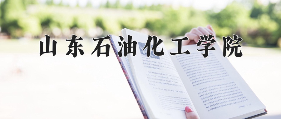 山东石油化工学院近三年录取分数线及位次:陕西2022-2024最低分