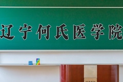 辽宁何氏医学院近三年录取分数线及位次：陕西2022-2024最低分