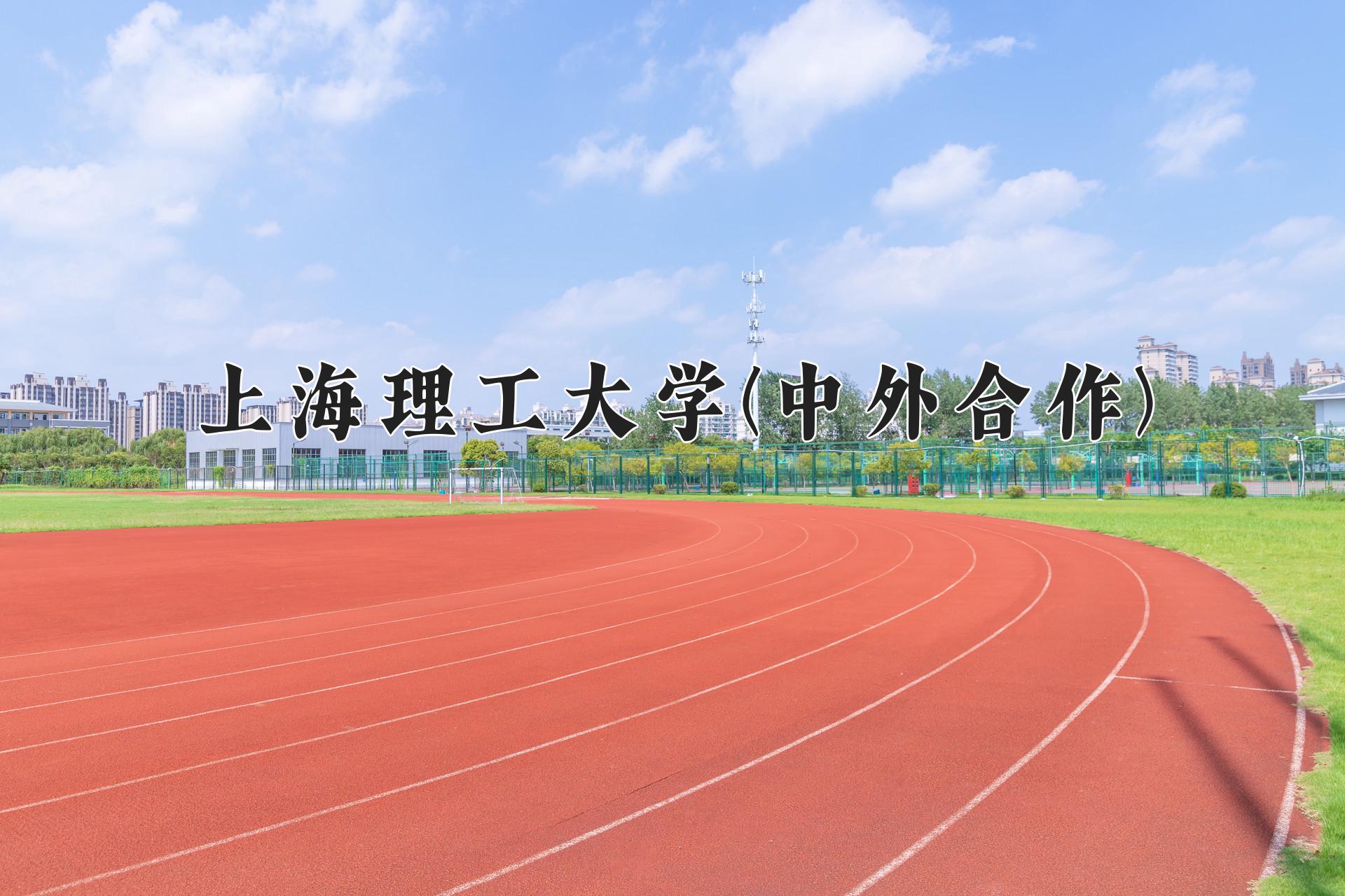 上海理工大学(中外合作)近三年录取分数线及位次:陕西2022-2024最低分