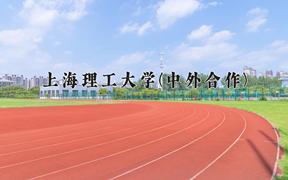 上海理工大学(中外合作)近三年录取分数线及位次：陕西2022-2024最低分