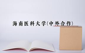 海南医科大学(中外合作)近三年录取分数线及位次：陕西2022-2024最低分