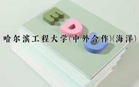 哈尔滨工程大学(中外合作)(海洋)近三年录取分数线及位次：陕西2022-2024最低分