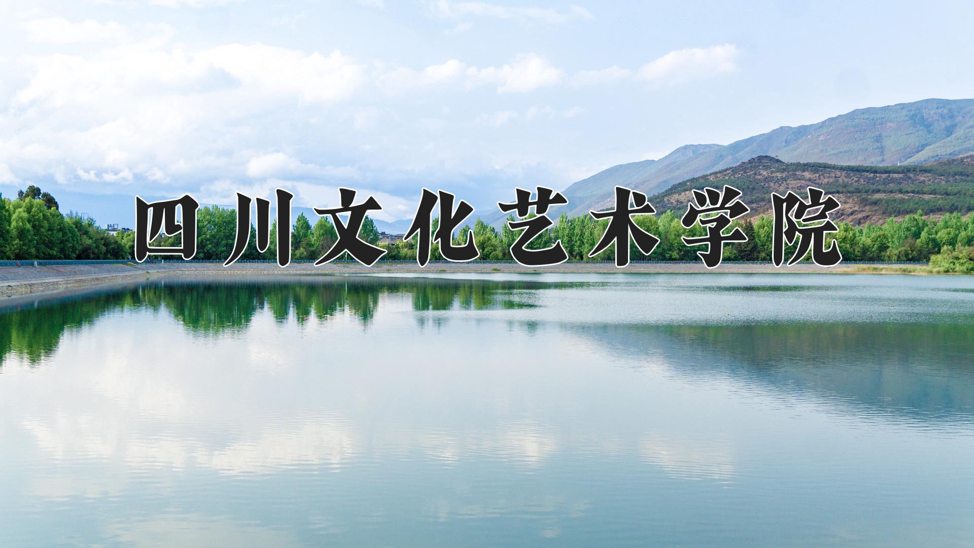 四川文化艺术学院近三年录取分数线及位次：陕西2022-2024最低分