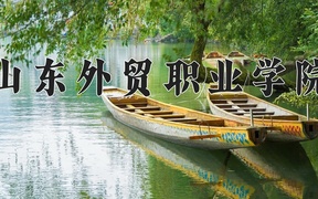 山东外贸职业学院近三年录取分数线及位次：陕西2022-2024最低分