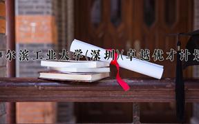哈尔滨工业大学(深圳)(卓越优才计划)近三年录取分数线及位次：陕西2022-2024最低分