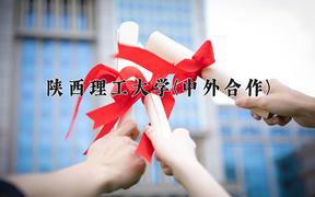 陕西理工大学(中外合作)近三年录取分数线及位次：陕西2022-2024最低分
