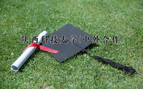 陕西科技大学(中外合作)近三年录取分数线及位次：陕西2022-2024最低分