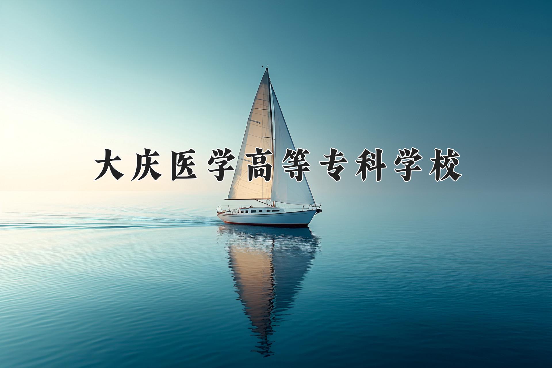 大庆医学高等专科学校近三年录取分数线及位次:陕西2022-2024最低分