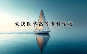 大庆医学高等专科学校近三年录取分数线及位次：陕西2022-2024最低分