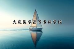 大庆医学高等专科学校近三年录取分数线及位次：陕西2022-2024最低分