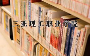 三亚理工职业学院近三年录取分数线及位次：陕西2022-2024最低分