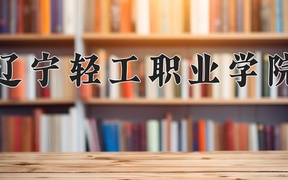 辽宁轻工职业学院近三年录取分数线及位次：陕西2022-2024最低分