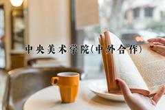 中央美术学院(中外合作)近三年录取分数线及位次：陕西2022-2024最低分